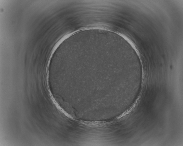 X0000085040949200703261308