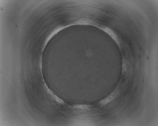 X0000085040950200703261308