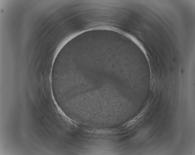 X0000085040951200703261308