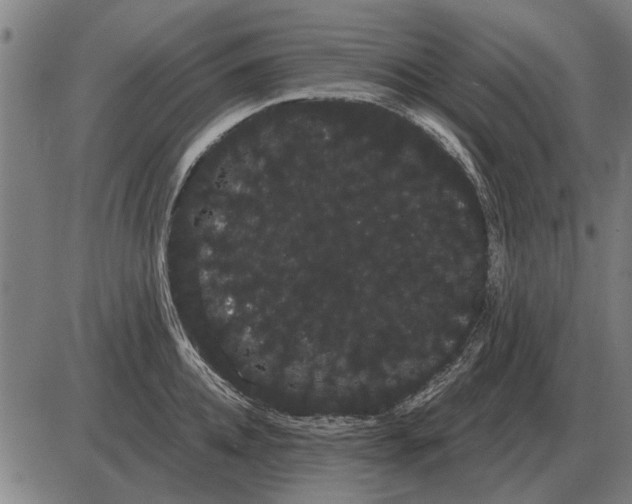 X0000085040952200703261308