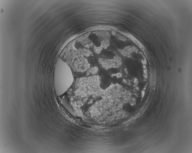 X0000085040953200703261308