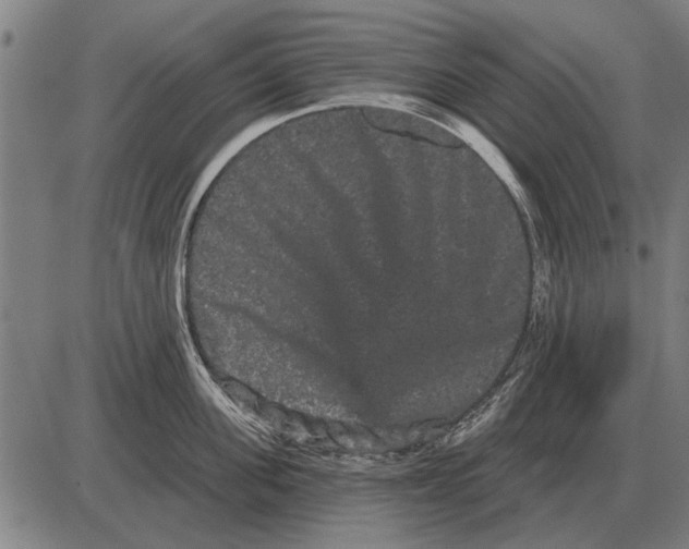 X0000085040955200703261308