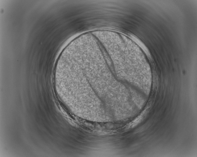 X0000085040956200703261308