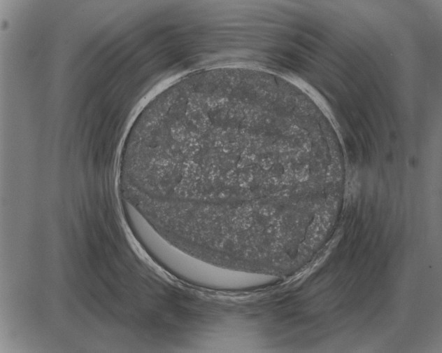 X0000085040957200703261308