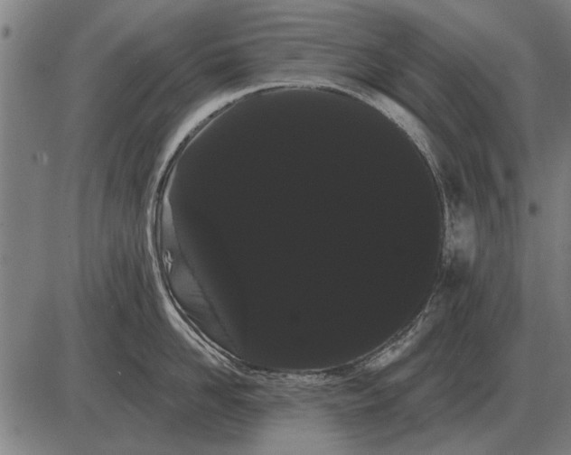 X0000085040958200703261308