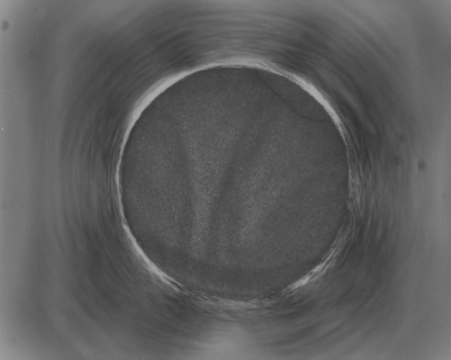 X0000085040959200703261308