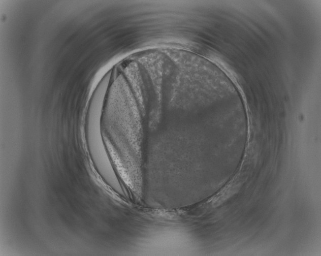 X0000085040960200703261308