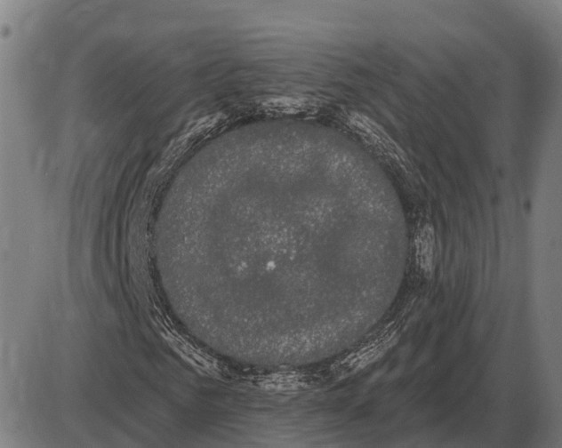 X0000085040961200703261308