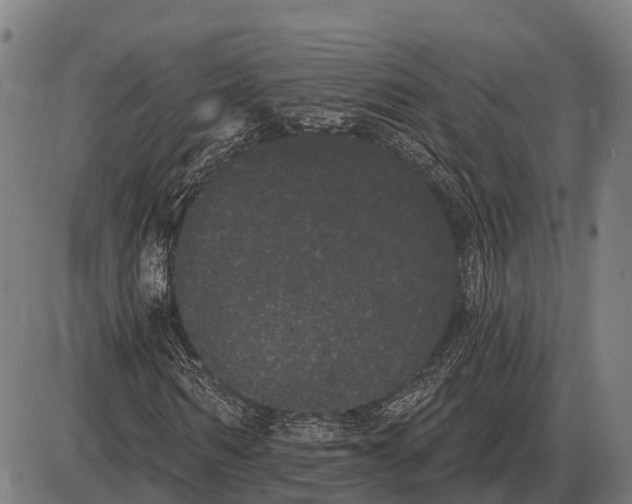 X0000085040962200703261308