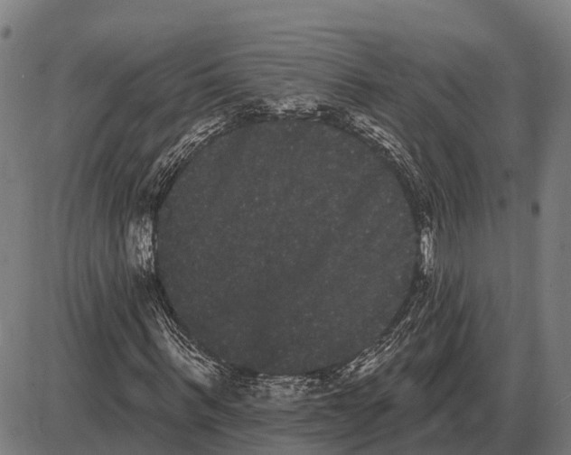 X0000085040963200703261308