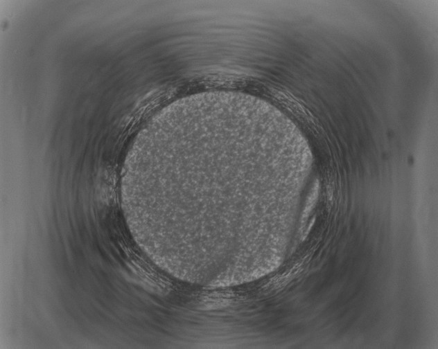 X0000085040964200703261308