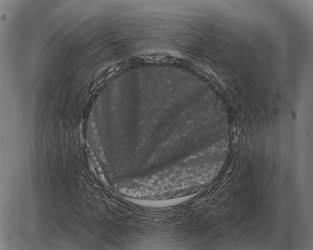 X0000085040965200703261308