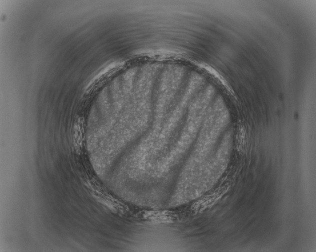 X0000085040967200703261308