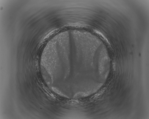 X0000085040968200703261308