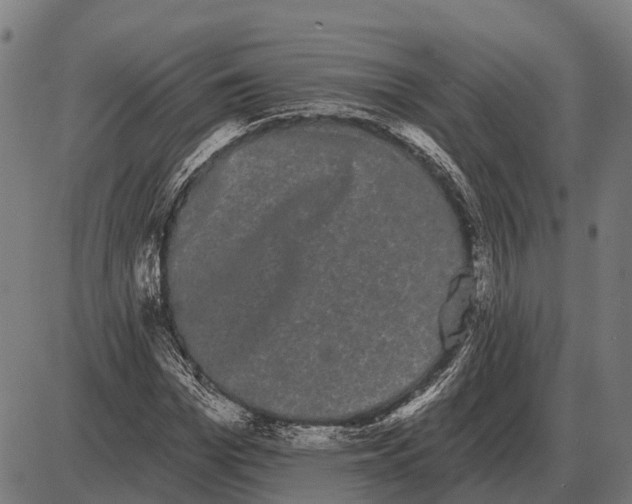 X0000085040969200703261308