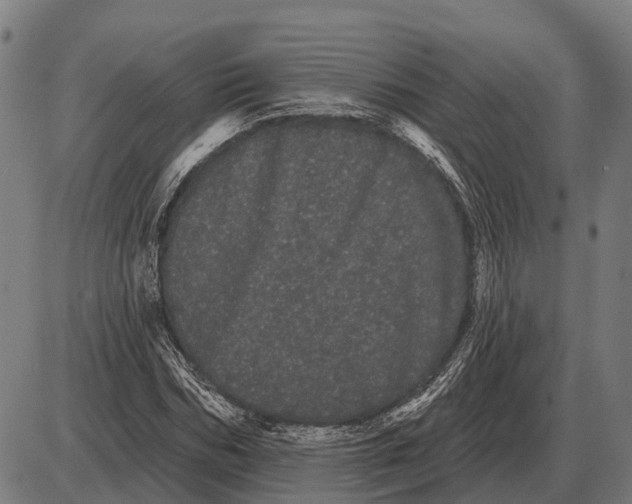 X0000085040970200703261308