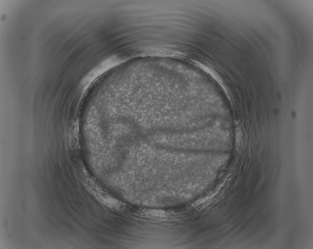 X0000085040971200703261308