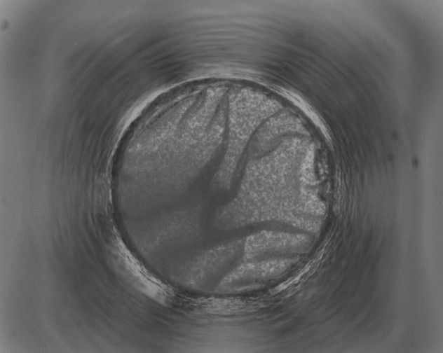 X0000085040972200703261308