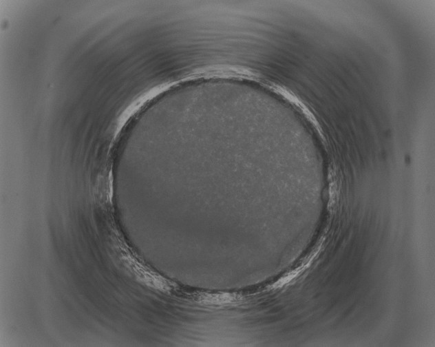 X0000085040973200703261307