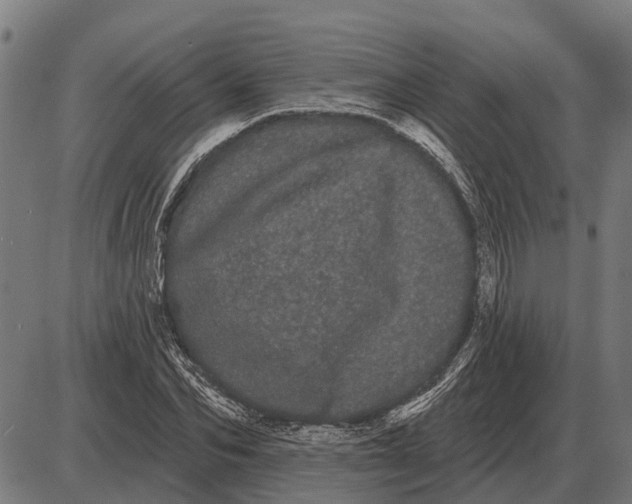 X0000085040974200703261307