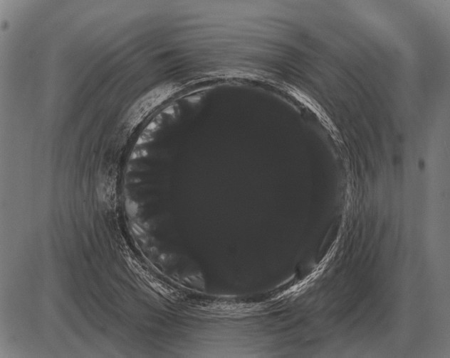 X0000085040977200703261307