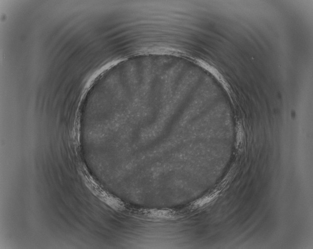 X0000085040979200703261307