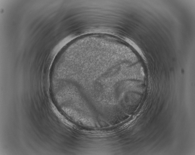 X0000085040980200703261307