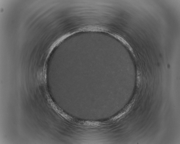 X0000085040981200703261307