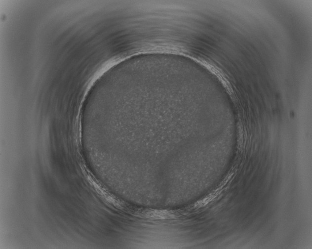 X0000085040982200703261307