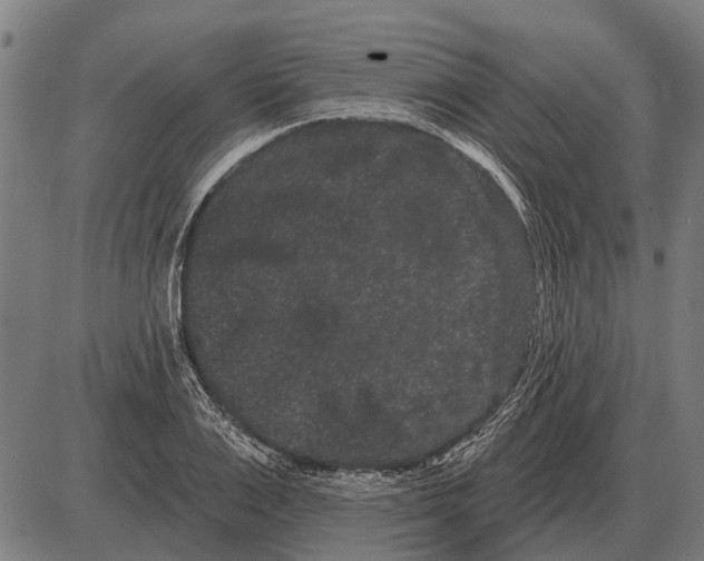 X0000085040983200703261307