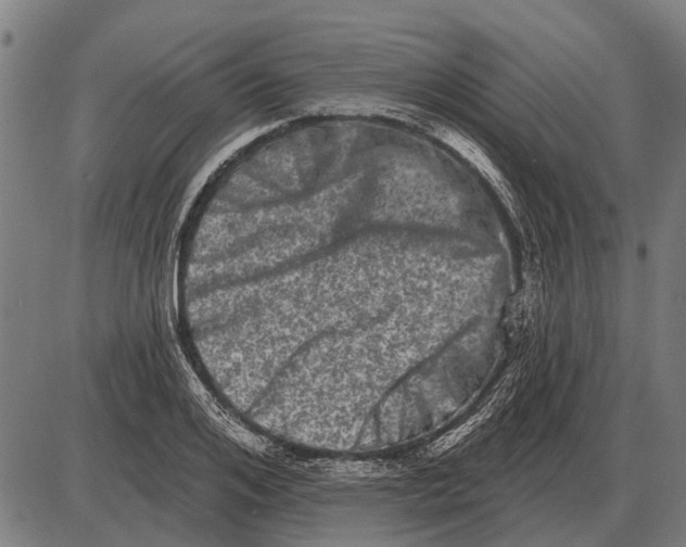 X0000085040984200703261307