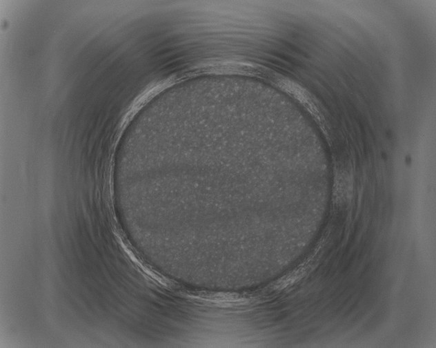 X0000085040986200703261307