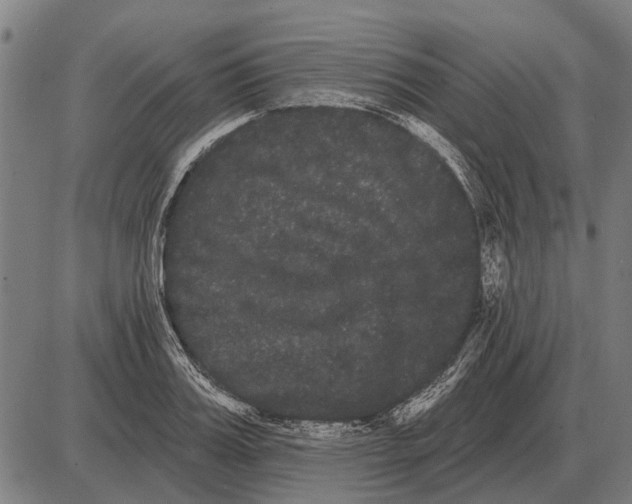 X0000085040987200703261307