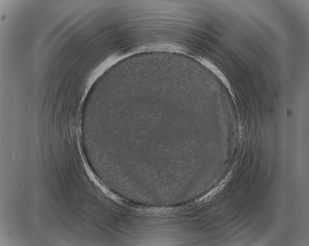 X0000085040989200703261307