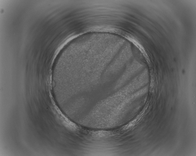 X0000085040992200703261307