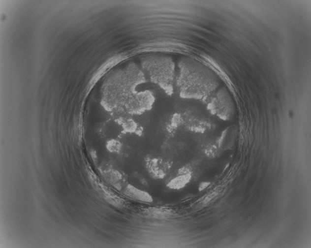 X0000085040994200703261307