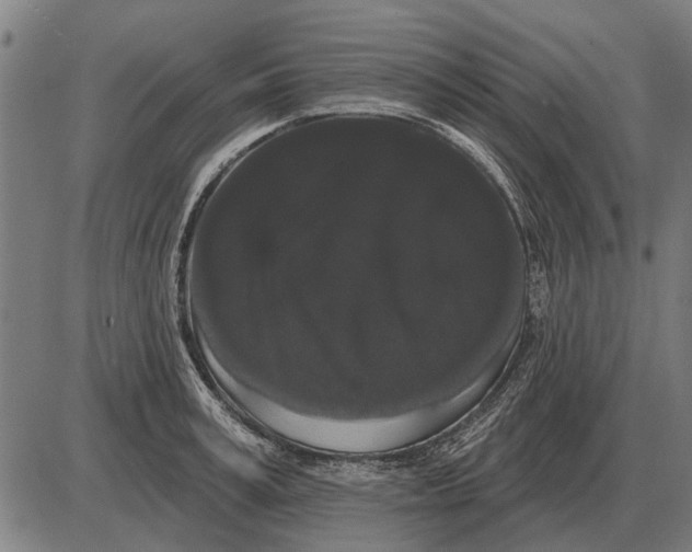 X0000085040995200703261307