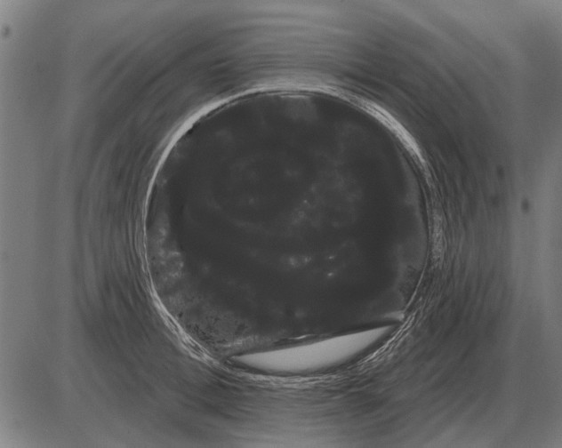 X0000085040996200703261307