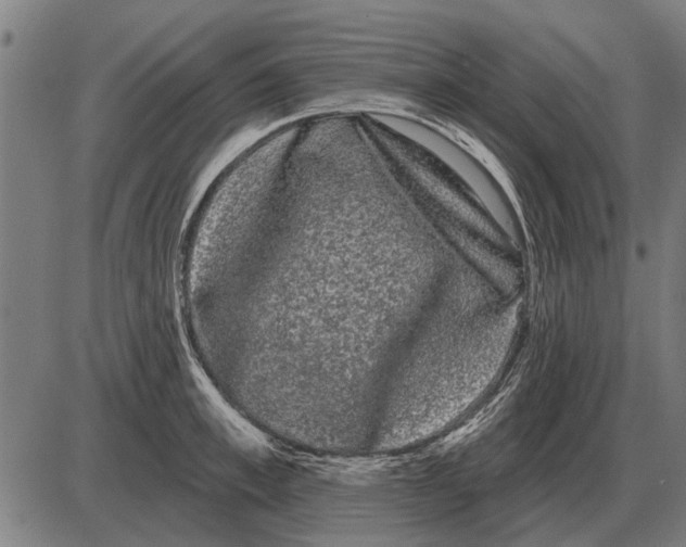 X0000085040997200703261307