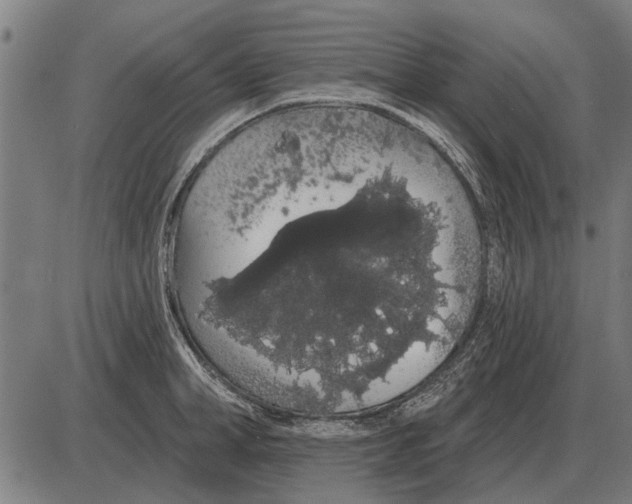 X0000085040998200703261307