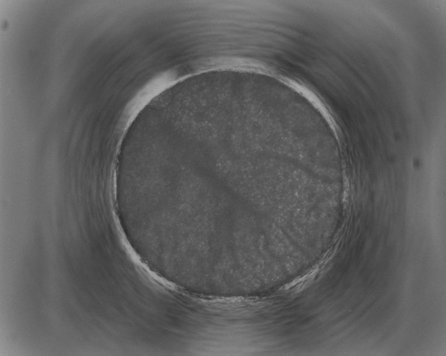 X0000085040999200703261307