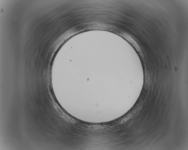 X0000085041000200703261307