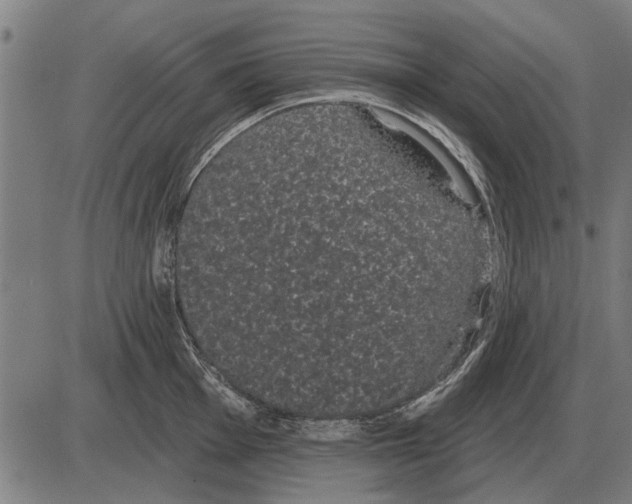 X0000085041001200703261307