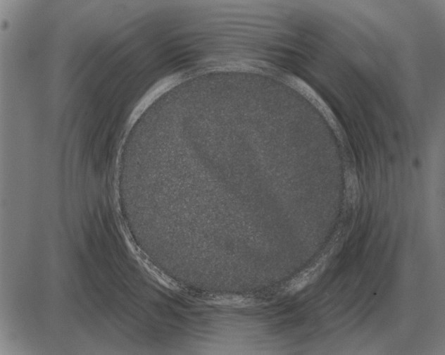 X0000085041002200703261307