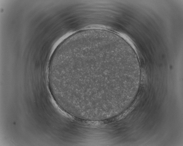 X0000085041003200703261307