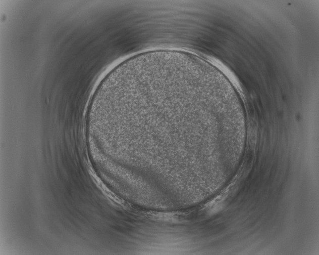 X0000085041004200703261307