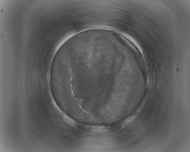 X0000085041007200703261307