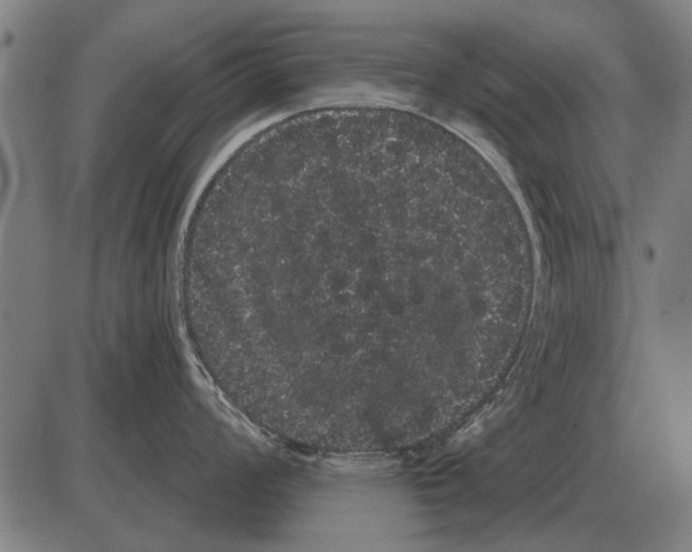 X0000085041008200703261307