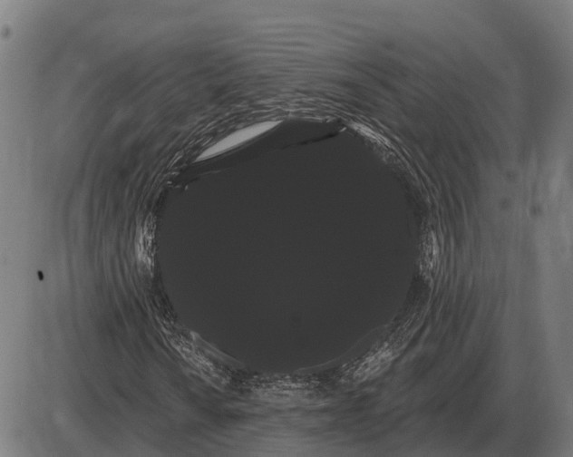 X0000085041010200703261306