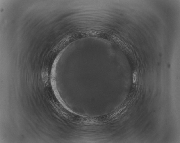 X0000085041011200703261306